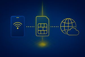 SimDATA pour les professionnels : Le guide complet